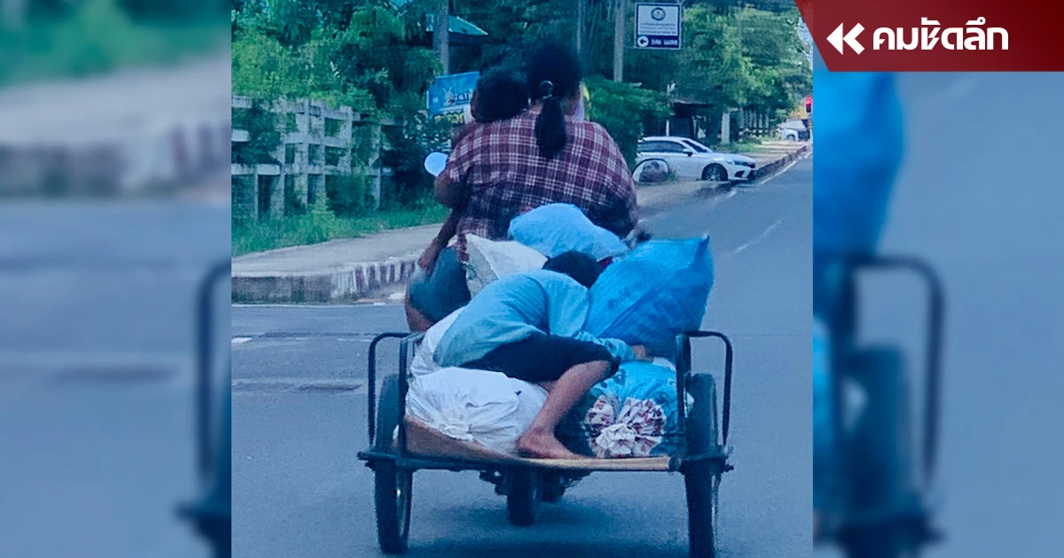 ครอบครัวสู้ชีวิต ตระเวนเก็บเศษมันตามไร่ หาเงินให้หลานไปโรงเรียน