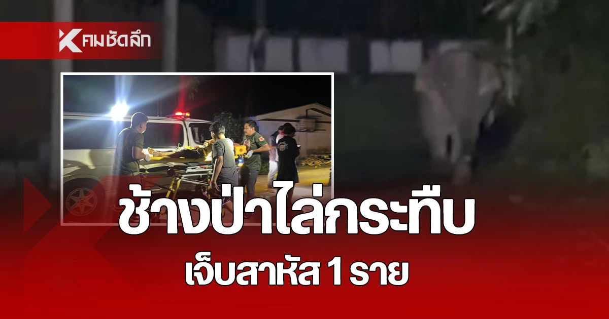สุดระทึก ช้างป่า ออกนอกพื้นที่ อุทยานฯ วิ่งไล่กระทืบชาวบ้าน เจ็บสาหัส 1 ราย