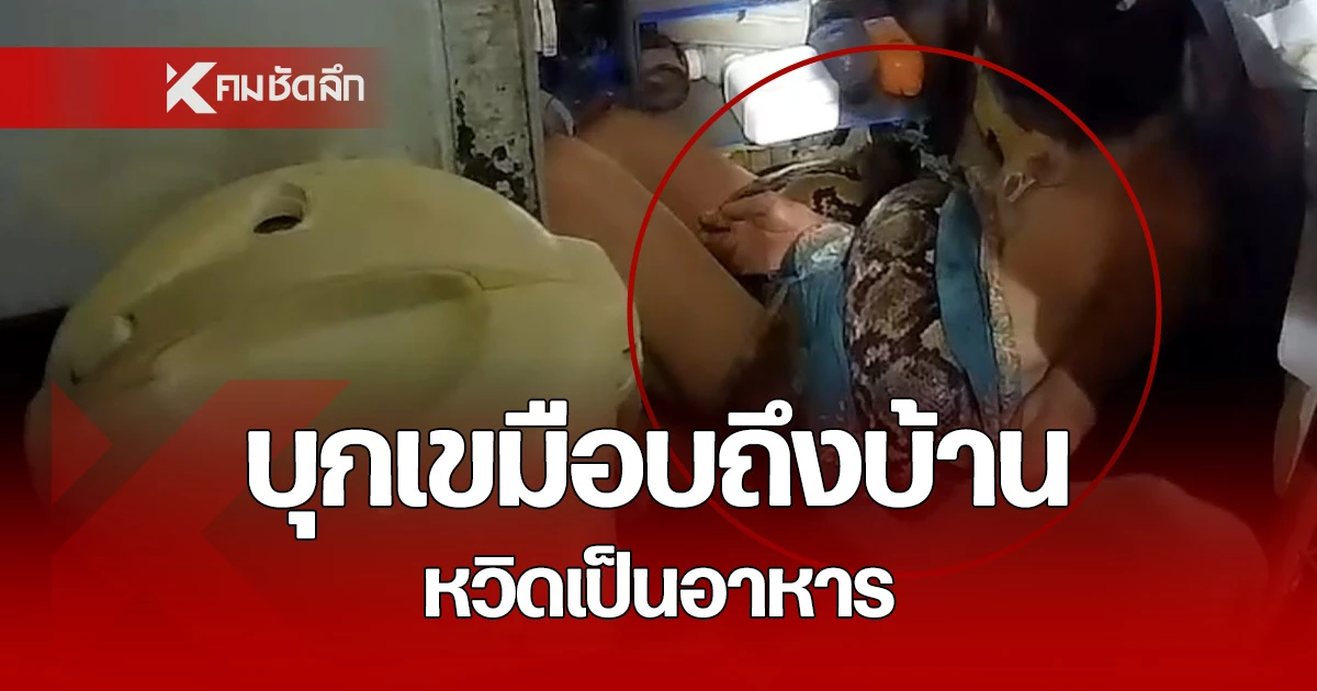 วินาที งูเหลือม บุกเขมือบ แม่เฒ่า รัดคาบ้าน หวิดดับ