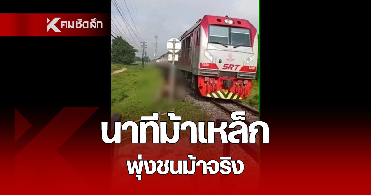 คลิปนาทีช็อก รถไฟพุ่งชนม้า