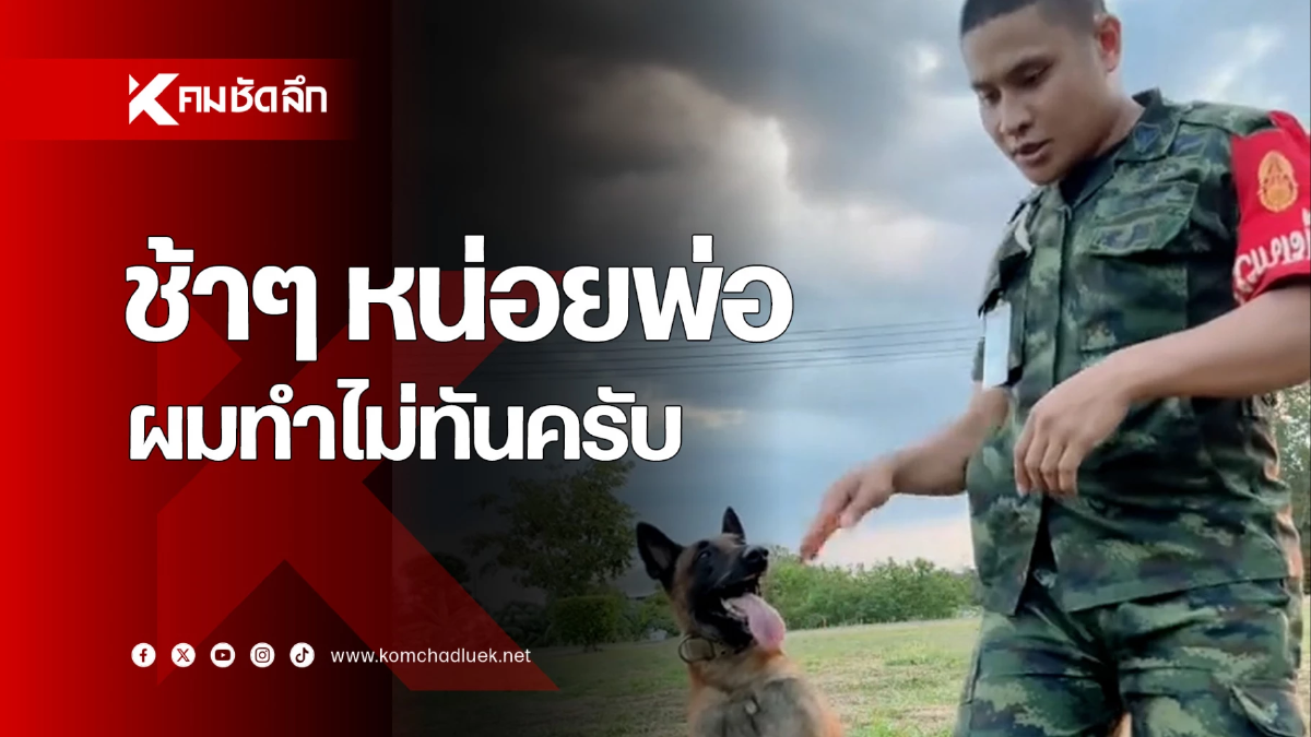 งงไปหมดแล้วครับ เมื่อ 'สุนัข k9' ไม่คุ้นชินกับสิ่งที่พ่อทำ