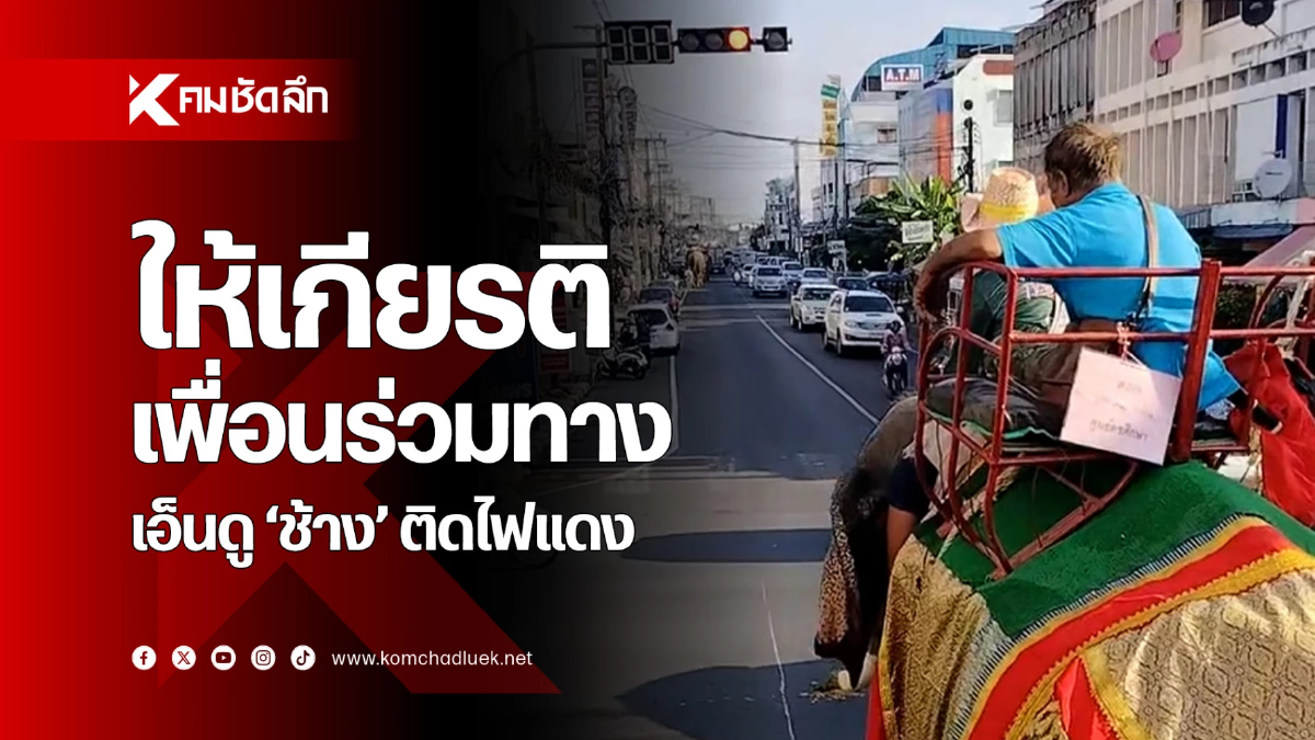 ให้เกียรติเพื่อนร่วมทาง เอ็นดูช้างเคารพจราจร