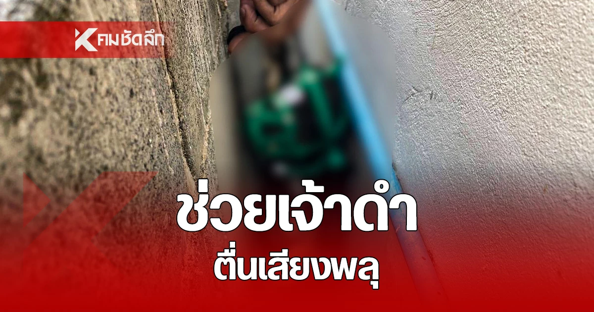 คลิปเจ้าหน้าที่มูลนิธิป่อเต็กตึ๊ง เข้าช่วยเหลือเจ้าดำ น้องหมาตื่นเสียงพลุ จนเข้ามาติดอยู่ในซอกกำแพง