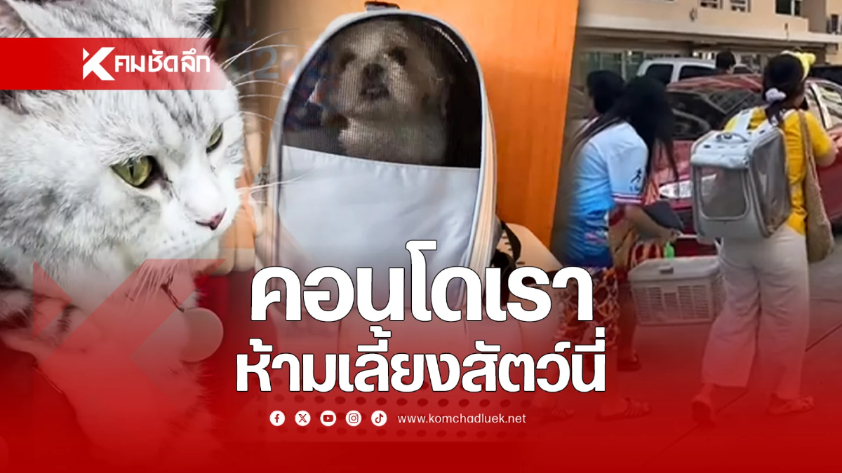 เมื่อคอนโดห้ามเลี้ยงสัตว์ แต่พอเกิดแผ่นดินไหว อุ้มหมาแมวลงมากันเพียบ