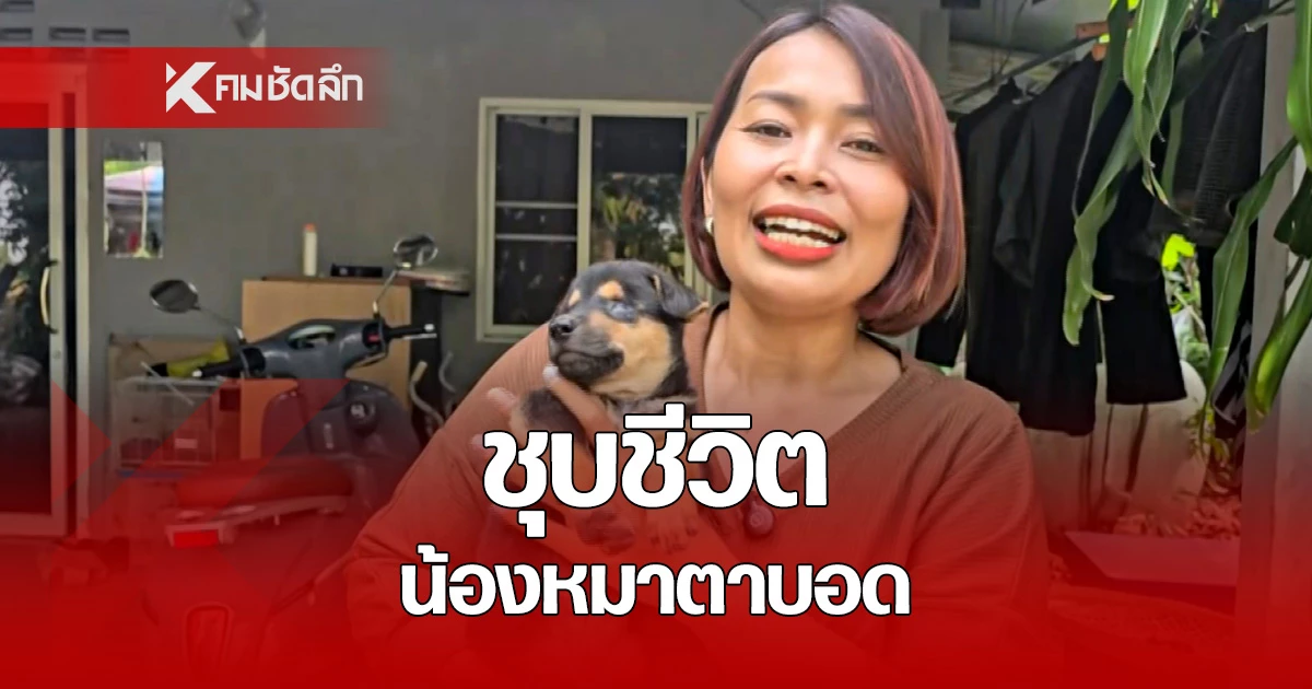 เห็นแล้วใจฟู! สาวใจบุญชุบชีวิตหมาตาบอดสนิททั้ง 2 ข้าง