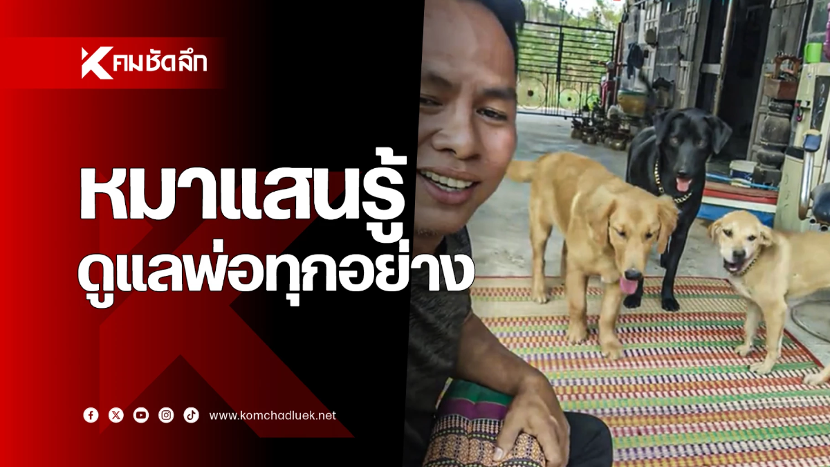 สุนัขแสนรู้ เจ้าของใช้อะไรทำได้ทุกอย่าง
